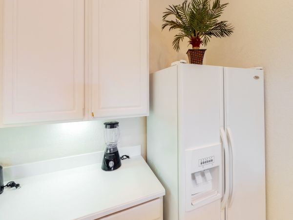 Orlando Condo 955843
