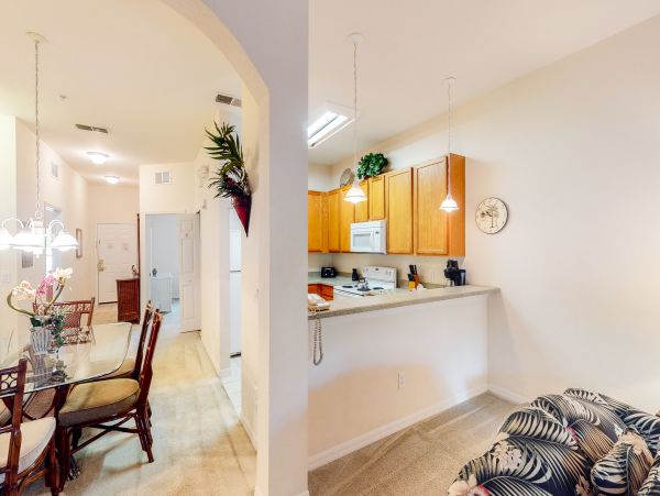 Orlando Condo 955844