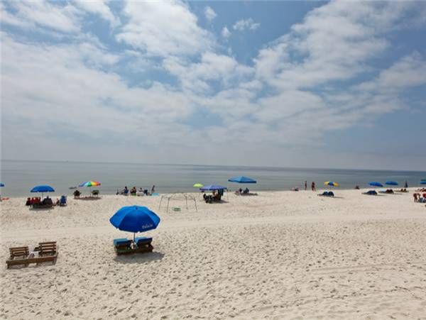 Perdido Key Condo 955893