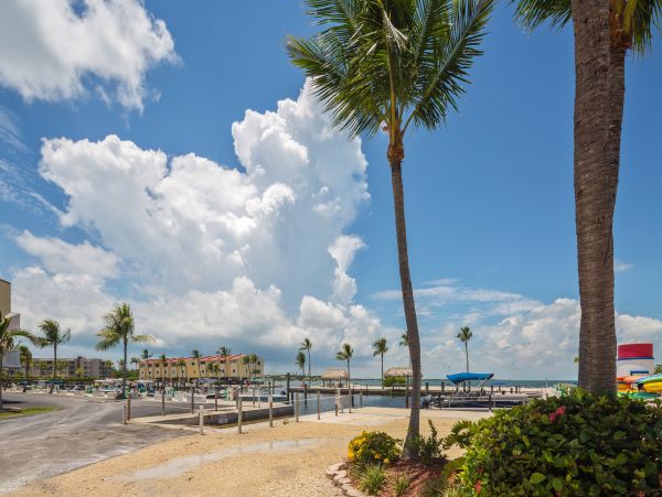 The Florida Keys Home 955896