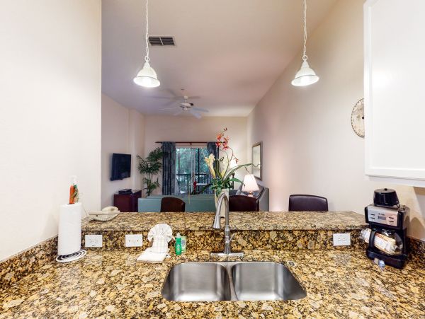 Orlando Condo 955930