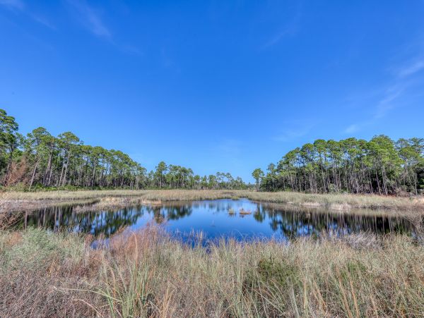 Beaches Of South Walton Home 955933