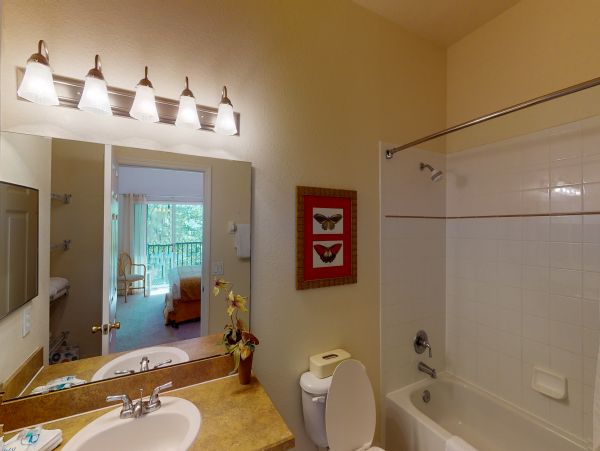 Orlando Condo 955971