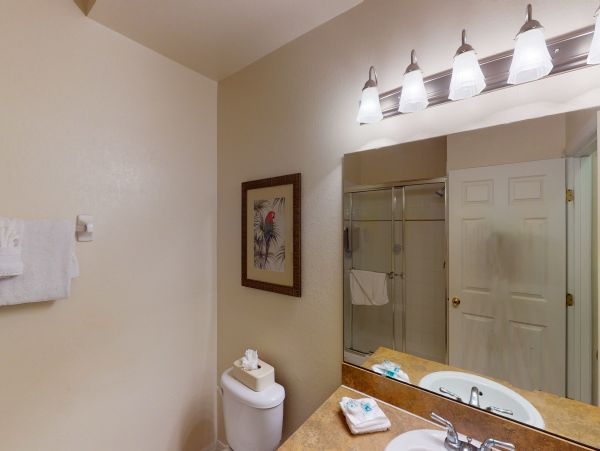 Orlando Condo 955971