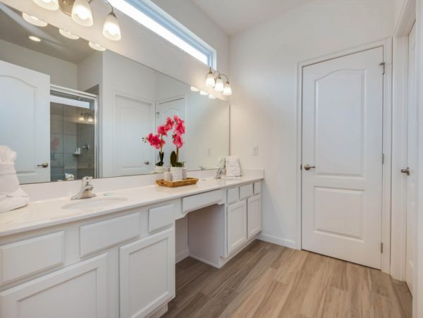 Orlando Home 955975