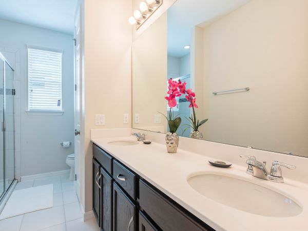 Orlando Home 955979