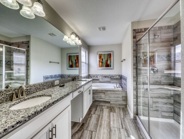 Orlando Home 956011