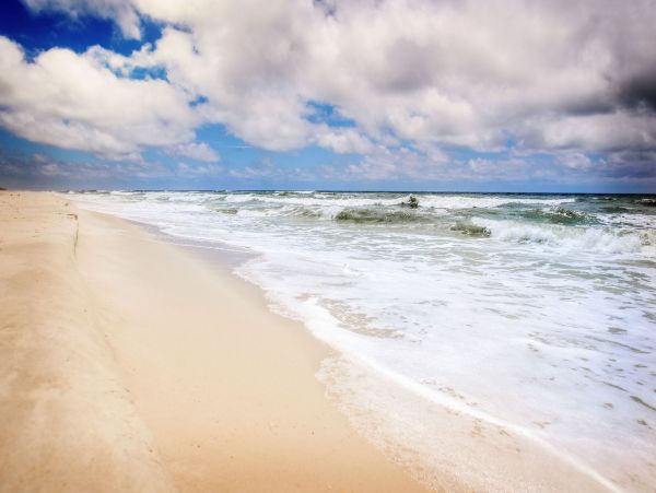 Perdido Key Condo 956025