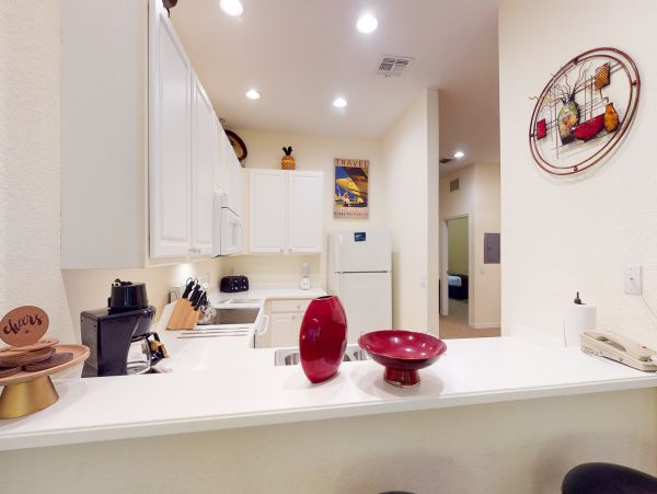 Orlando Condo 956045