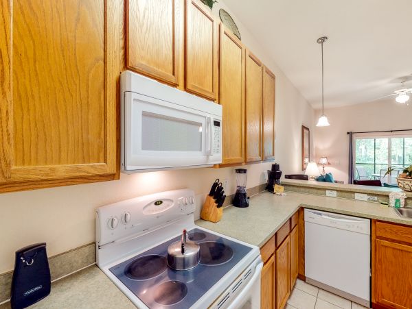 Orlando Condo 956049