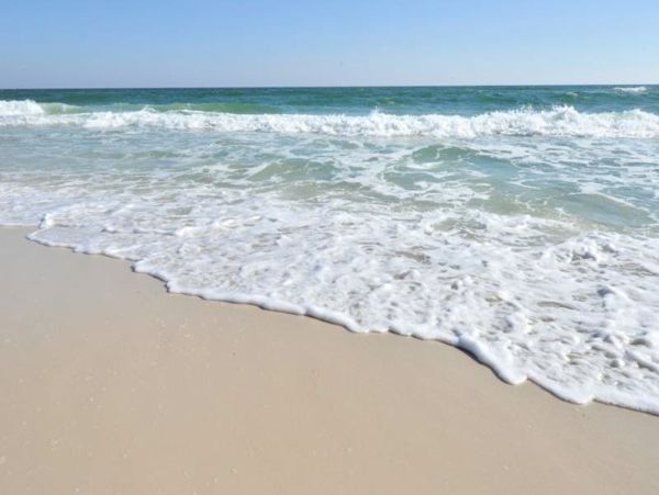 Perdido Key Condo 956055