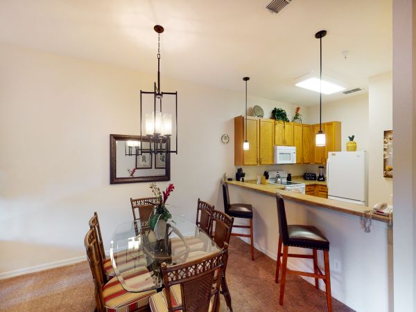 Orlando Condo 956074