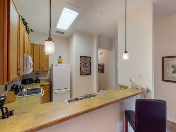 Orlando Condo 956074