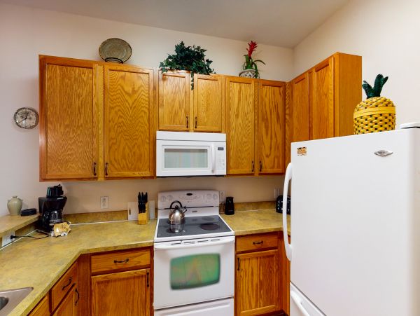 Orlando Condo 956074