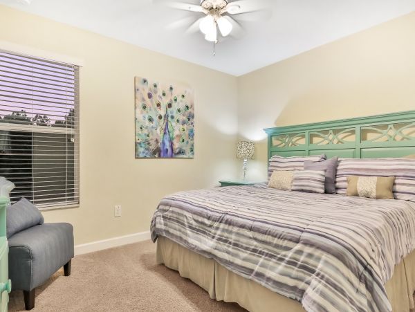 Orlando Home 956092