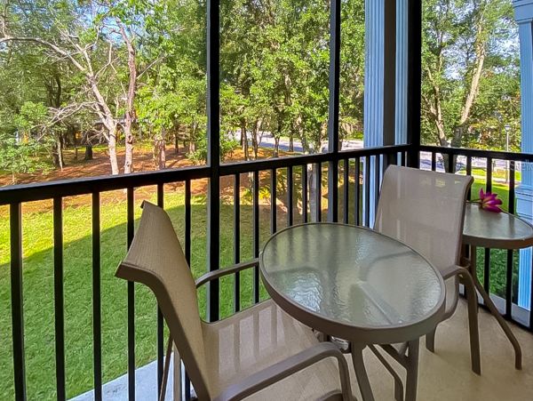 Orlando Condo 956101