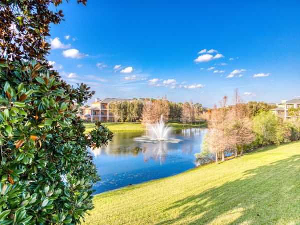 Orlando Condo 956101