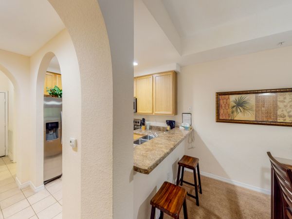 Orlando Condo 956105