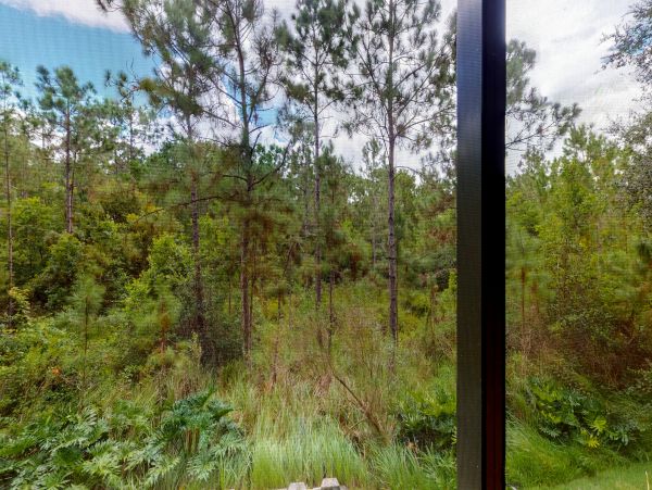 Orlando Condo 956105