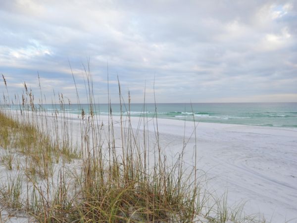 Beaches Of South Walton Condo 956107