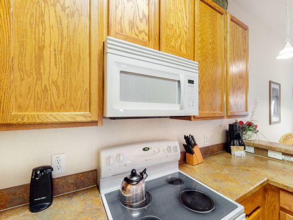 Orlando Condo 956112