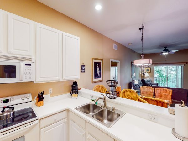 Orlando Condo 956123