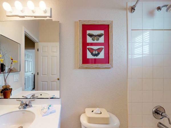 Orlando Condo 956145