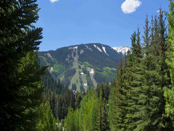 Beaver Creek Luxury Vacation Rental 5-Bedroom Ski & Golf Home