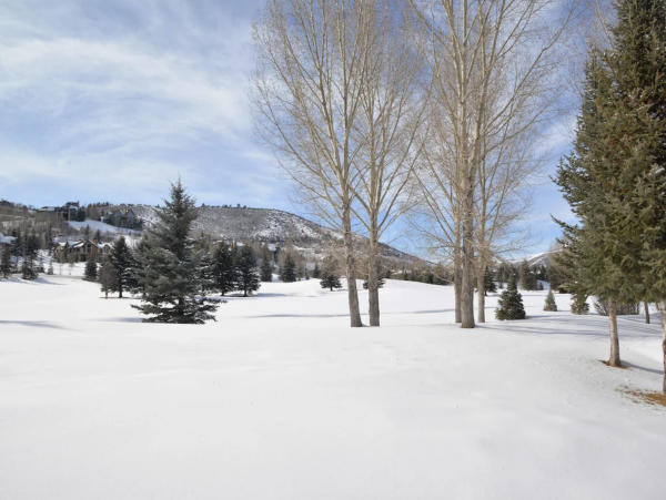 Beaver Creek Luxury Vacation Rental 5-Bedroom Ski & Golf Home