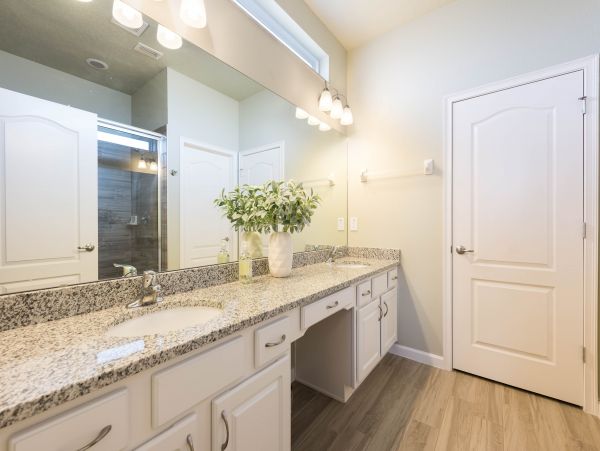 Orlando Home 956150