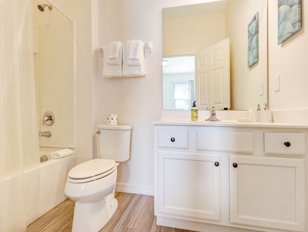 Orlando Home 956176
