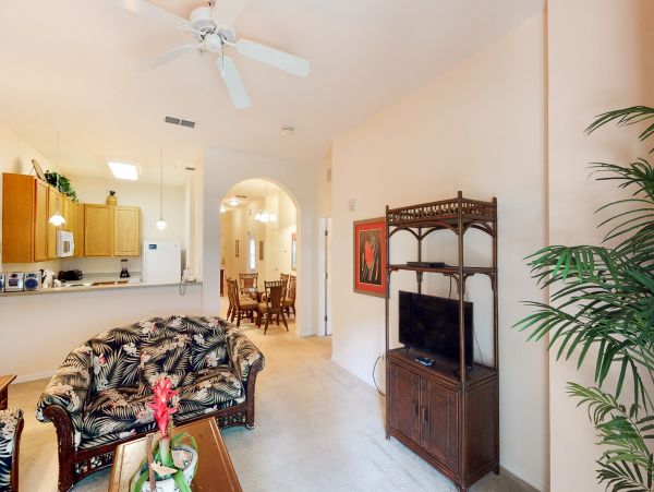 Orlando Condo 956185
