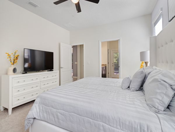 Orlando Home 956205