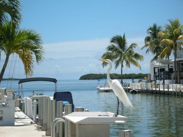 Cudjoe Key Luxury Rental Home 2 Bedrooms Sleeps 6 Gulf Views