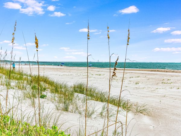 Cocoa Beach Condo 956280