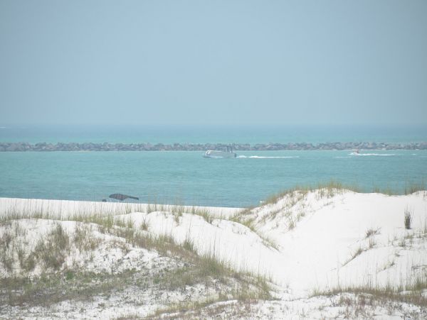 Destin Condo 956286