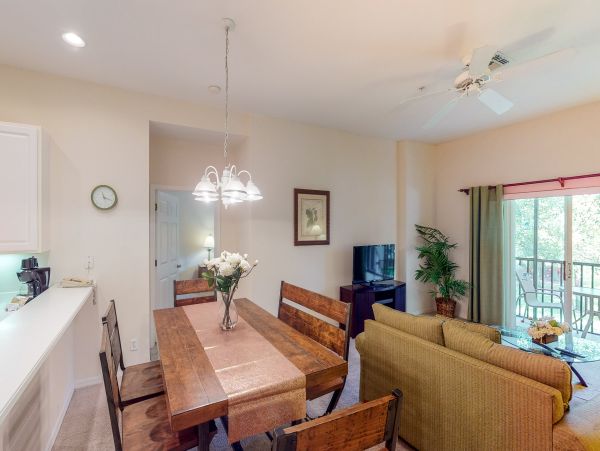 Orlando Condo 956302