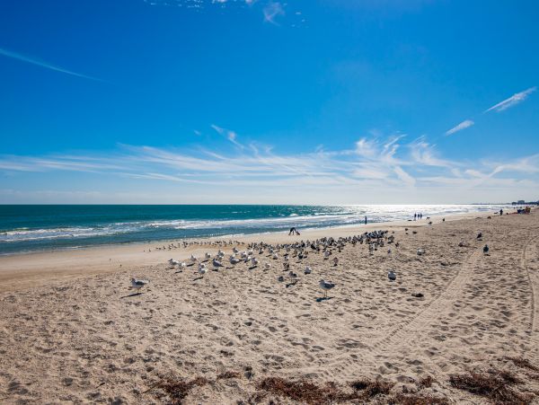 Cocoa Beach Home 956317