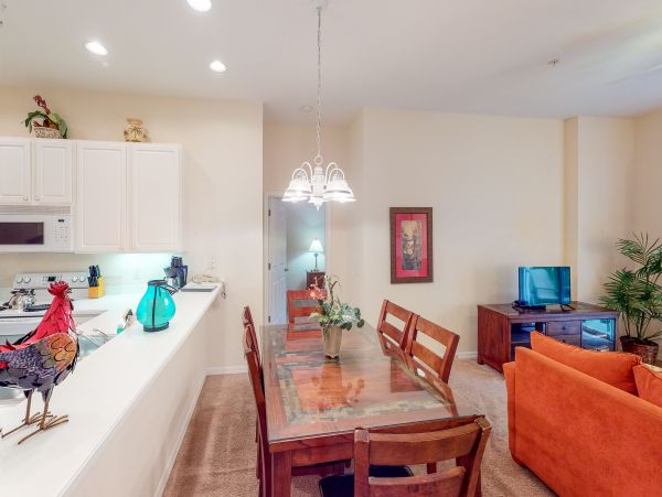 Orlando Condo 956334