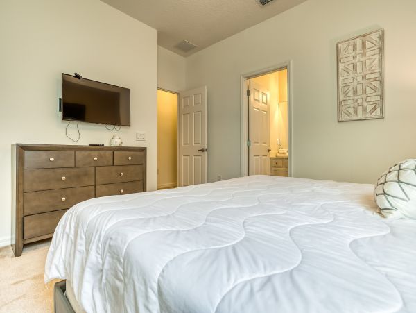 Orlando Home 956355