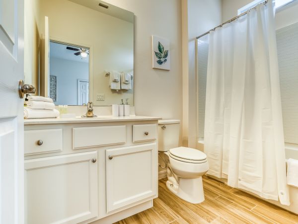 Orlando Home 956355