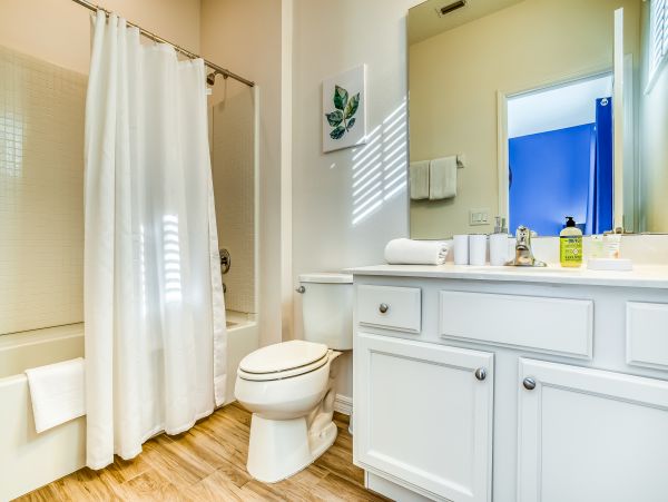 Orlando Home 956355