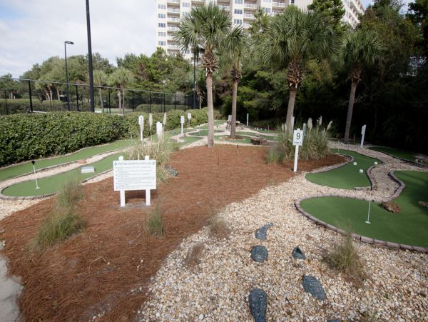 Beaches Of South Walton Condo 956358