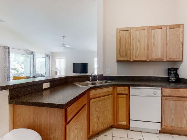 Orlando Home 956374