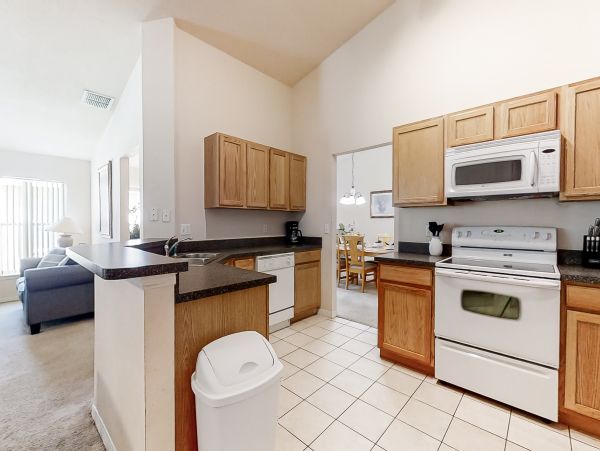 Orlando Home 956374