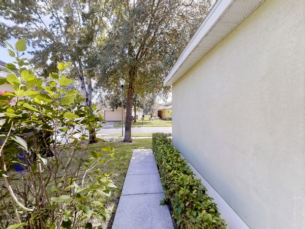 Orlando Home 956374
