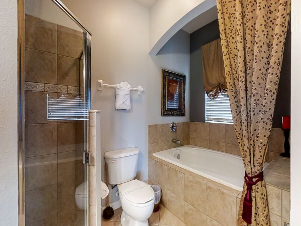 Orlando Home 956383