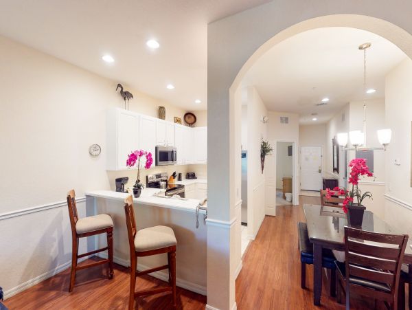 Orlando Condo 956384