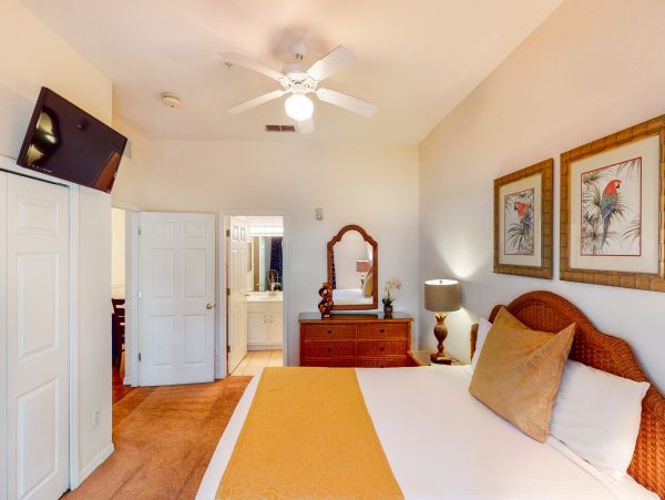 Orlando Condo 956384