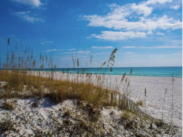 New Arrival Exceptional Interior & Amenities Perdido Key